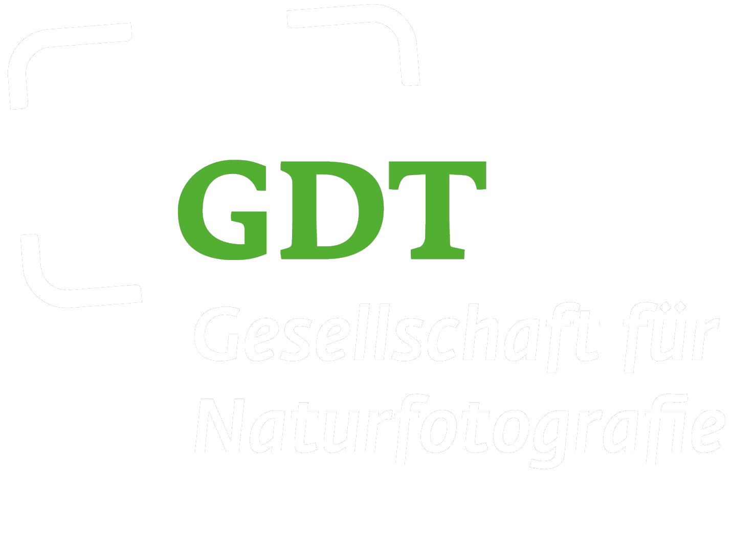 GDT_Logo-DE_weiss-gruen.png
