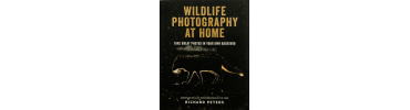 wildlife_photography_auf370_trans.png